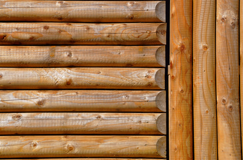 What is the Best Cladding for Your Shed?