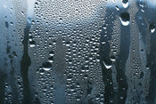 7 Ways to Prevent Condensation In Your Shed
