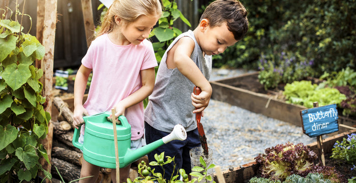 Garden Projects For Kids