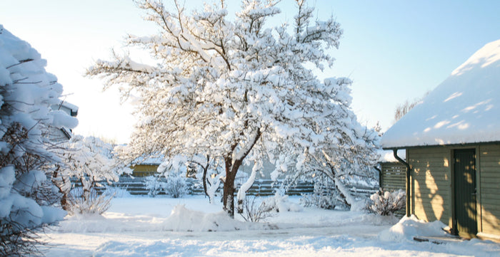 How To Prepare Your Garden For Winter