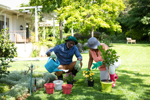 Low-maintenance gardening for the elderly