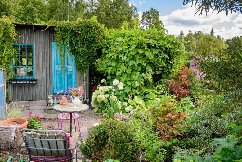 Smart ways to disguise your garden shed