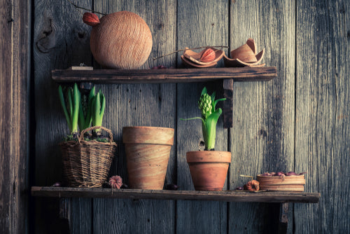 8 Efficient Shelving Ideas for Your Shed