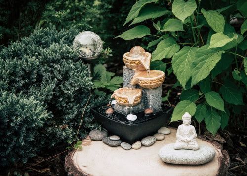 Zen Garden Ideas for a Tranquil Home