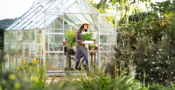 How To Choose The Best Greenhouse