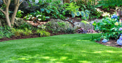 5 Popular DIY Garden Trends For 2026