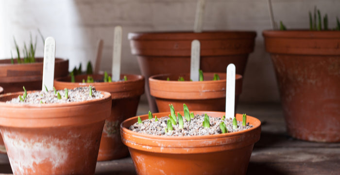 The Perfect Potting Shed Accessories To Up Your Gardening Game
