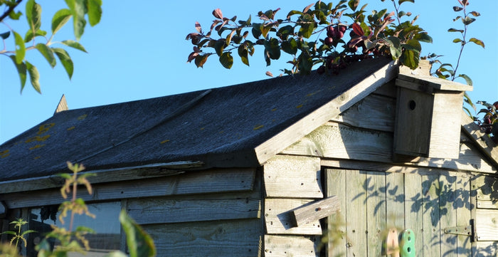 How To Replace A Shed Roof